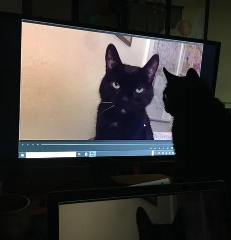 Rücken-Screening